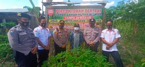 IMG-20200810-WA0081