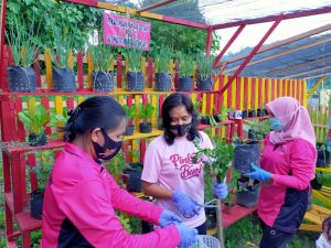 IMG-20201127-WA0037