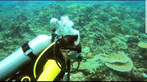 IMG-20210321-WA0061