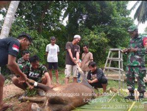 IMG-20210722-WA0086