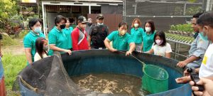 IMG-20211105-WA0035