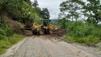 IMG-20250318-WA0111