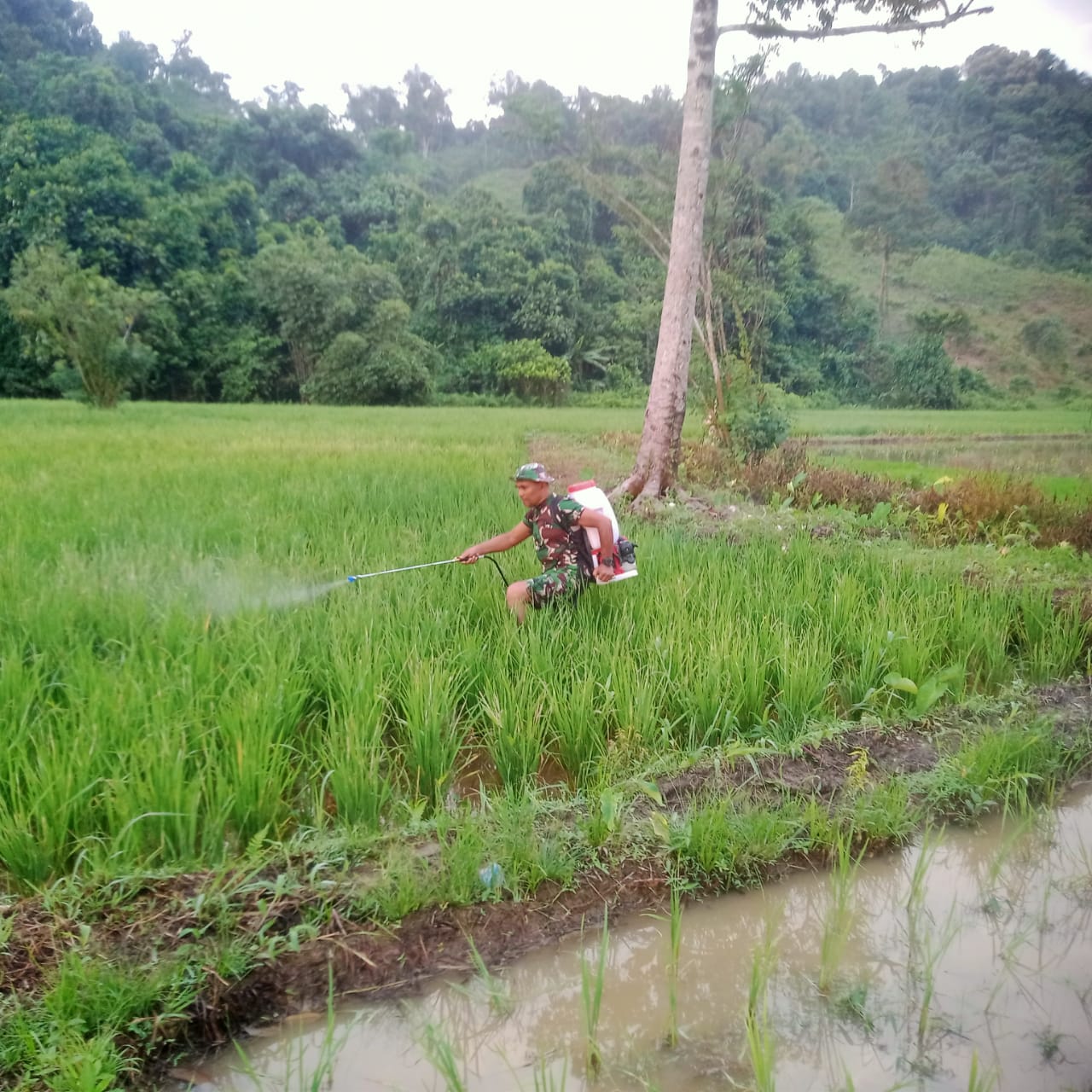 IMG-20251004-WA0186
