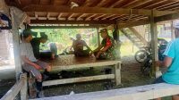 IMG-20251012-WA0059