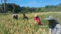 IMG-20251015-WA0120