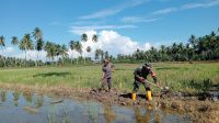 IMG-20251102-WA0101