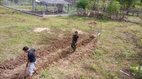 IMG-20251118-WA0064