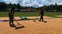 IMG-20251209-WA0139