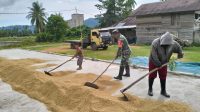 IMG-20251229-WA0042