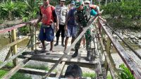 IMG-20251230-WA0036