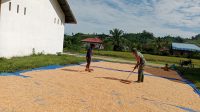 IMG-20260102-WA0065
