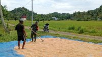 IMG-20260104-WA0067