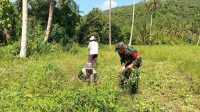 IMG-20260512-WA0099