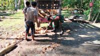 IMG-20260611-WA0028