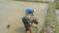 IMG-20260615-WA0057