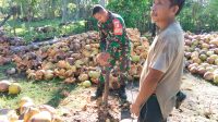 IMG-20260615-WA0068